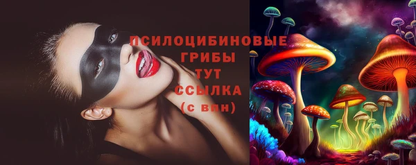 стафф Нефтекумск