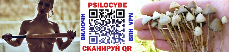 Псилоцибиновые грибы Cubensis  наркотики  блэк спрут ссылка  Осинники 